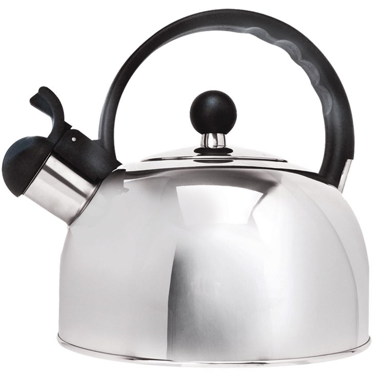 Brushed stainless outlet tea kettle